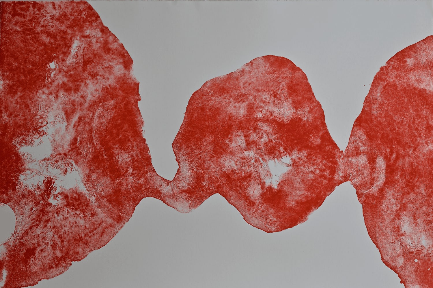 KRETSLØP: Da Cathrine Liberg fikk oppgaven «Tolk samarbeidet mellom arbeidstaker, arbeidsgiver og stat i de store tariffoppgjørene» satte hun i gang med å lese. – Det var da jeg fikk ideen om kroppslige organer, systemet med hjerter og lunger. Hvis det ene organet kollapser, kollapser hele kroppen, sier hun.